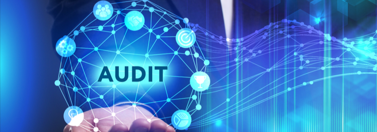 Winwood: Analytics crucial to future of audit