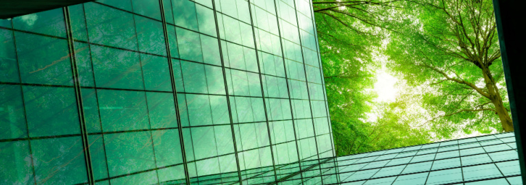 Let’s make accountants accountable for better business behaviour