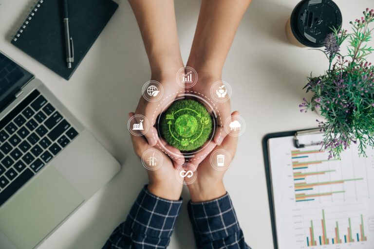 UK's Autumn Budget 2024: Navigating Green Opportunities for Businesses